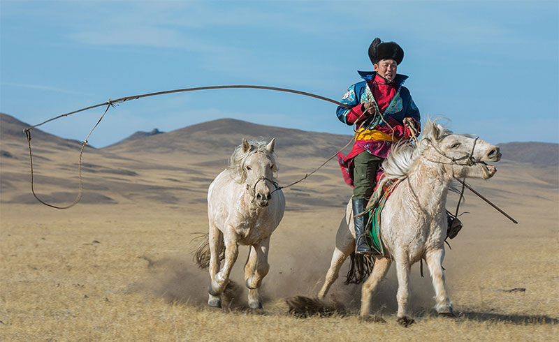 mongolia steppe horse riders 